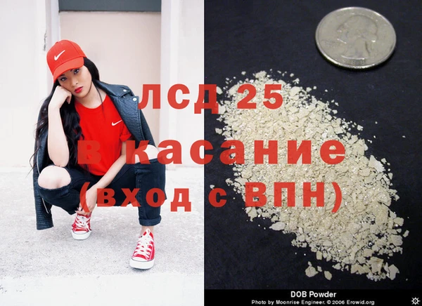 сатива Бронницы