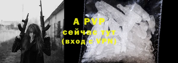 сатива Бронницы