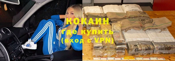 сатива Бронницы