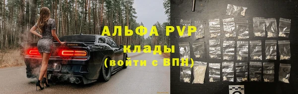 сатива Бронницы