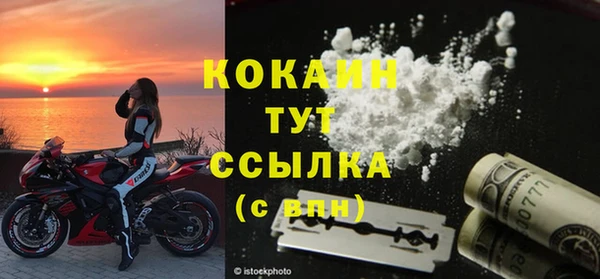сатива Бронницы