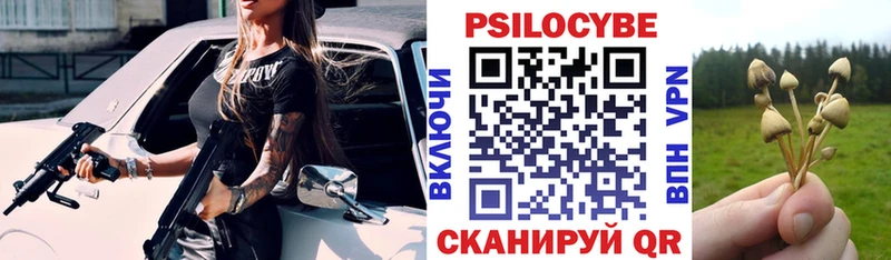 Псилоцибиновые грибы Cubensis  дарнет шоп  Барнаул 